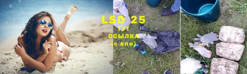 блэк спрут рабочий сайт  как найти закладки  Волгореченск  LSD-25 экстази ecstasy 