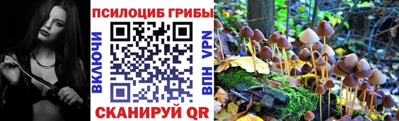МЕГА ссылка  Волгореченск  Псилоцибиновые грибы мухоморы  закладка 